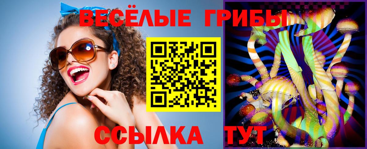 Псилоцибиновые грибы Psilocybe Наро-Фоминск